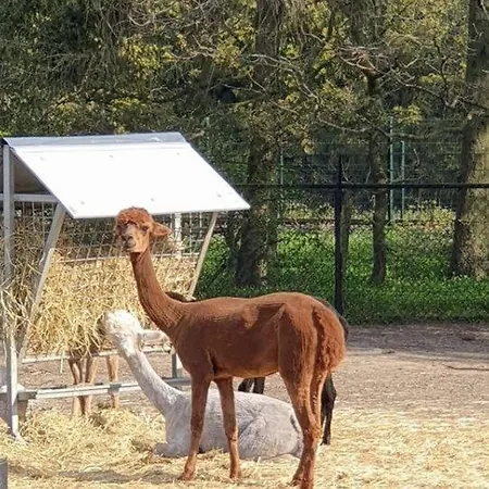 Hemel Op Aarde Vakantiehuis *