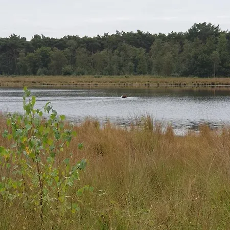 Hemel Op Aarde Vakantiehuis Helmond
